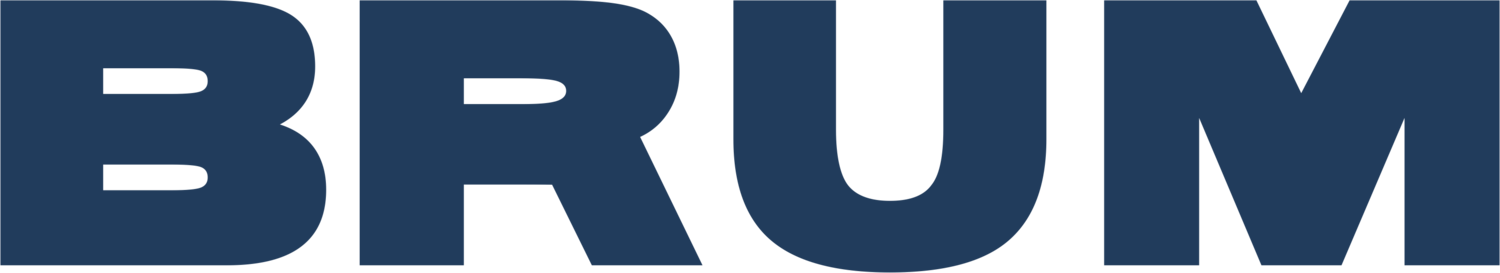 Logo BRUM